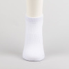 Peak Ankle Socks White